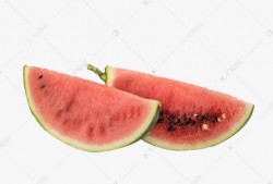 吃瓜素材视频大全下载免费,免费下载，一网打尽！